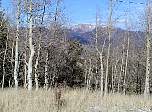 p1010016.jpg