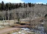 p1010020.jpg