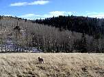 p1010021.jpg