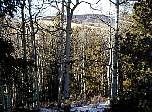 p1010023.jpg