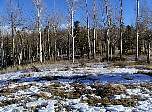 p1010029.jpg