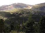 image06.jpg
