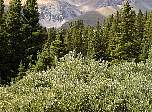 image16.jpg