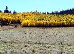 p9270025.jpg