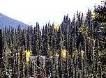p9270056.jpg
