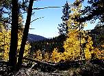 p9270057.jpg