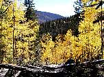 p9270058.jpg