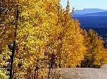p9270070.jpg