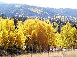 pa120067.jpg